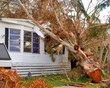 disaster damage tax deduction